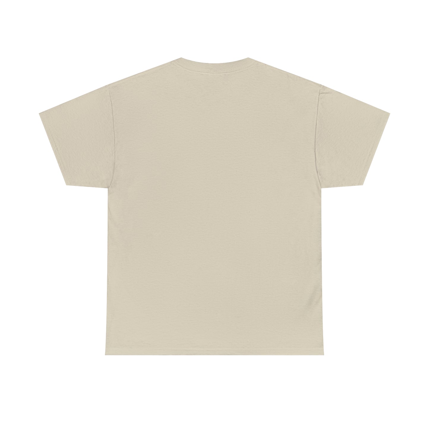 PR DUBAI Unisex Heavy Cotton Tee