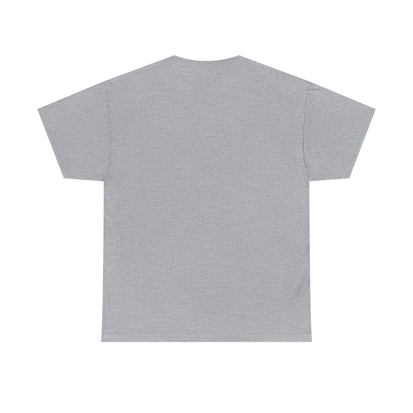 PR DUBAI Unisex Heavy Cotton Tee