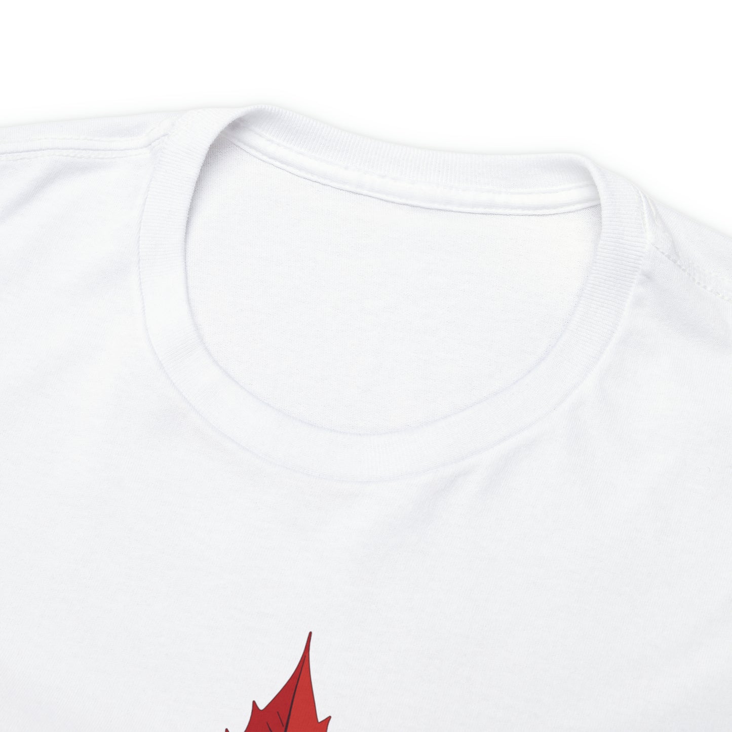 PRT CANADA Unisex Heavy Cotton Tee